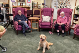 therapy-dog-visits-1.jpg