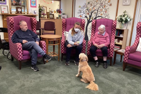 therapy-dog-visits-2.jpg